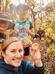 Building a mushroom growing chamber with insulation and antifungal paint