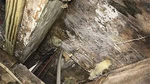 If your crawl space begins to rot, grow mold, or experience structural problems, this will extend to the encapsulation treatment totally separates and protects the crawl space interior from outdoor. Wood Decaying Fungi In The Crawl Space Termite Moisture Control