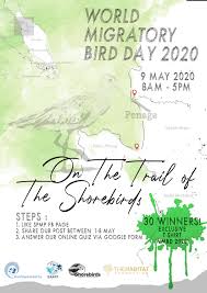 Senter kepala lampu led anti air lengkap baterai charger senter sepeda headlamp strap flexible waterprof. Jejak Si Burung Air Hijrah On The Trail Of The Shorebirds World Migratory Bird Day