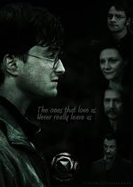 The Ones That Love Us Never Really Leave Us Sirius Black Padfoot Has A Plan Harry James Potter Harry Potter Universal Harry Potter Hermione