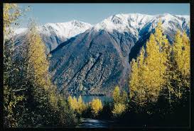Maybe you would like to learn more about one of these? Alaska S Kenai Jim S Lodge Guide Service Has Internet Access And Outdoor Dining Area Updated 2021 Tripadvisor Soldotna Vacation Rental