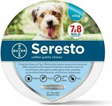 We did not find results for: Bayer Seresto Flea And Tick Collar For Small Dogs 1 Pack For Sale Online Ebay