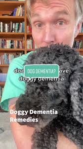 Understanding Sundowners Syndrome in Dogs