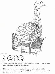 Touch device users, explore by touch or with swipe gestures. Nene Is The State Bird Of Hawaii Coloring Page Letscolorit Com Bird Coloring Pages State Birds Coloring Pages