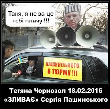 "Народный фронт" требует вернуть в госбюджет украденные Януковичем средства, - Чорновол - Цензор.НЕТ 5945