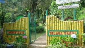Dengan komitmen yang jitu terhadap membangunkan kompleks masjid puncak alam, ybhg. Indahnya Pesona Taman Wisata Telaga Warna Puncak Bogor Pemandangan Latar Belakang Warna