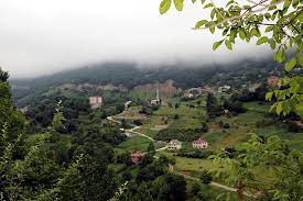 Hamsiköy trabzon i̇li'nin maçka ilçesine bağlı bir mahalledir. Hamsikoy E Turist Ilgisi Trabzon Gezilecek Yerler Ntv