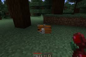 Les renards ne vous suivront pas même lorsqu'ils sont apprivoisés, mais ils ne vous fuiront pas. Comment Apprivoiser Un Renard Dans Minecraft Ekito Fr