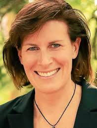 Ferndale School board candidates address issues facing the district