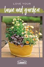 Take Advantage Of The Warm Weather And Deck Out Your Deck With Lawn And Garden Accessories From Lowes Com Lawn And Garden Plants Container Gardening