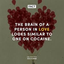 Tag Your Valentine Brainloudfact Fact Psychology Mind Brain Neuroscience Science Valentine Love Psychology Says Psychology Quotes Relationship Facts