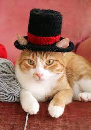 Top Hat For Cats Cat Wedding Apparel Cat Formal Wear Feline Etsy Hat For Cat Kitten Costumes Cat Wedding