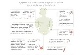 Aip diet & food list. What Is The Autoimmune Protocol The Paleo Mom