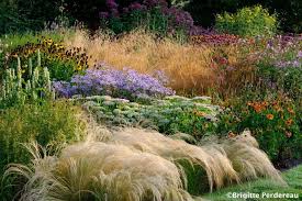 Pin Auf Inspiration Jardin