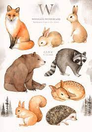 woodland wonderland watercolor clip art woodland animals kids clipart boho clipart nursery decor animals clipart fox deer rabbit bear tiere clipart tierillustrationen tiere