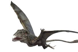 Image result for Hypuronector