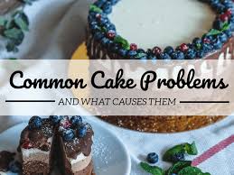 Use for braided coffee cake or coffee cake ring. Common Cake Faults Identifying And Remedying The Problem Delishably