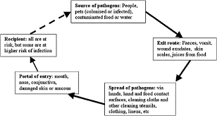 Lorenzo musetti francesco musetti : The Effectiveness Of Hand Hygiene Procedures In Reducing The Risks Of Infections In Home And Community Settings Including Handwashing And Alcohol Based Hand Sanitizers American Journal Of Infection Control