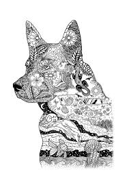 Australian Cattle Dog Black And White Australian Cattle Dog Colouring Page Instant Download With Etsy In 2020 Australian Cattle Dog Blue Heeler Australian Cattle Dog Cattle Dog