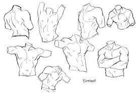 Get great deals on ebay! Torso Anatomy Anatomyreference Tutorial Reference Artreference Drawing Drawingreference Anatomy Sketches Body Reference Drawing Drawing Reference Poses