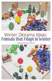 Check out the detail of this diorama building. Winter Diorama Ideas Animals That Adapt In Winter The Natural Homeschool