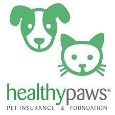 Every paw pet insurance reviews uk. The 5 Best Pet Insurance Companies For Pet Owners In 2021 Top 5