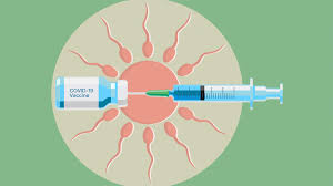 As hard as it is for you to have that conversation, i promise our grief is bigger and harder. Covid Vaccine Infertility Myths Everyday Health