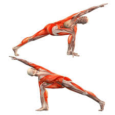 Browser Not Supported Yoga Poses Yoga Muscles Yoga