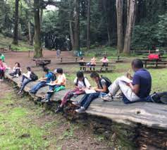 Maybe you would like to learn more about one of these? Henry Cowell Redwoods State Park Archives Save The Redwoods League