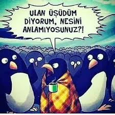Doguturkistanaozgurluk On Instagram Kis Gelince Ben Instagram Posts Instagram Disney Characters