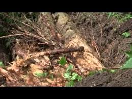 Permaculteur Eric Et Philip Forrer Presente Le Jardin Du Graal Avec Images Permaculture Jardin Permaculture Jardins