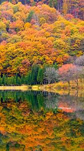 ZEKKEI Japan】紅葉とリフレクションの絶景壁紙・待ち受け画像をプレゼント！【無料ダウンロード】｜ZEKKEI Japan