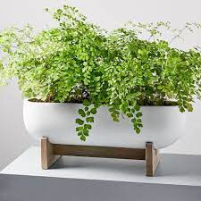 Pomona Windowsill Planter Planters Indoor Planters Patio Garden Design
