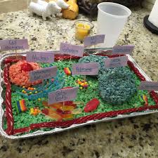 Check spelling or type a new query. 3d Cell Model Made Out Of Candy And Homemade Rice Crispy Treat Took Under An Hour Edible Cell Plant Cell Project Edible Cell Project