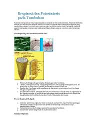 Maybe you would like to learn more about one of these? Bio Hubungan Fotosintesis Dengan Respirasi Sel Pdf