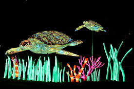 Espèces en voie d'illumination au jardins des plantes. Especes En Voie D Illumination Museum National D Histoire Naturelle