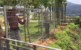 We did not find results for: Cara Pemasangan Pagar Brc Pabrik Pagar Brc