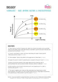 Limiting factors and carrying capacity worksheet dicections: Worksheets Thinkie Science Gcse