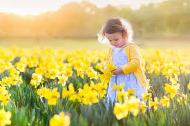 Flowers medical group patient portal. Patient Portal Gwinnett Pediatrics And Adolescent Medicine Gwinnett Pediatricians