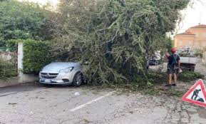 Maltempo, prevista ancora qualche precipitazione: Yhlucxx8333oem