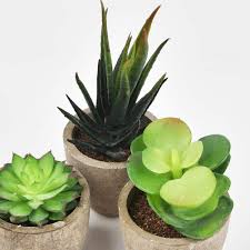 Puedes mezclar plantas falsas con plantas vivas si quieres añadir buenas vibraciones de follaje natural a bajo coste y aprovechar ambos tipos. Decorar Con Plantas Artificiales 13 Ideas Geniales Handfie Diy