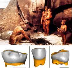 Per di più il cranio di un neanderthal era significativamente più grande del nostro, indicando forse una dimensione del cervello più grande. Neanderthal Come Noi I Loro Neonati Avevano Gli Stessi Tempi Di Svezzamento Dell Homo Sapiens Greenreport Economia Ecologica E Sviluppo Sostenibile