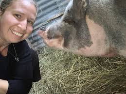 Is there a definitive list of what pot-bellied pigs can and can't have to  eat? My dad lives next door and is constantly throwing snacks into the pen.  Produce that he doesn't