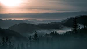 It's time to dress up your desktop! Norway Forest Wallpapers Top Free Norway Forest Backgrounds Wallpaperaccess