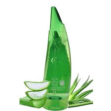 Shilibao Organik Aloe Vera Jel