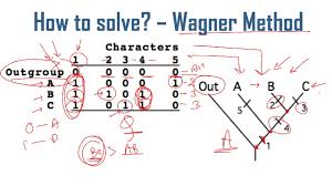 Cladogram Analysis Problems And Solutions For Csir Net Exam Youtube