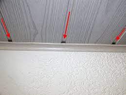 Mieter kann wespennest entfernen lassen immobilien haufe wespen in der wohnung massnahmen. Wespen In Der Wohnung Massnahmen