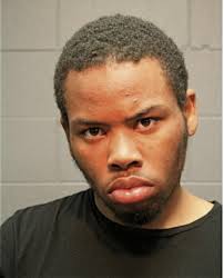 ᐅ Illinois Criminal Records 2009-2025