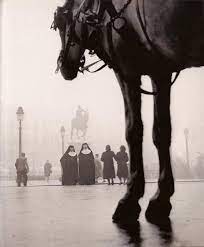 Anthony Luke S Not Just Another Photoblog Blog Photographer Profile Francesc Catala Roca White Horse Photography Horse Photography Street Photography