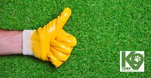 How to clean artificial grass uk. How To Clean Artificial Grass Blog K9 Artificial Grass Essex